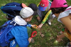 IMG_20190426_095956_výsledok