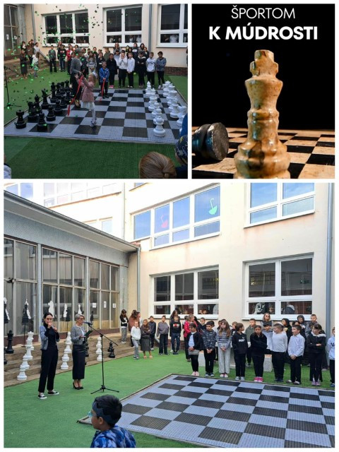 Športom k múdrosti