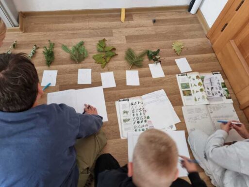 Na hodine biológie s piatakmi