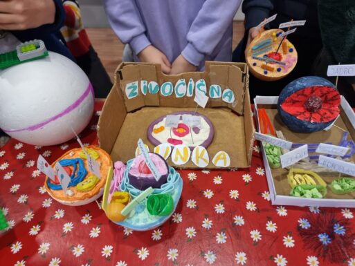 Kreativita šiestakov v 3D bunkách! 